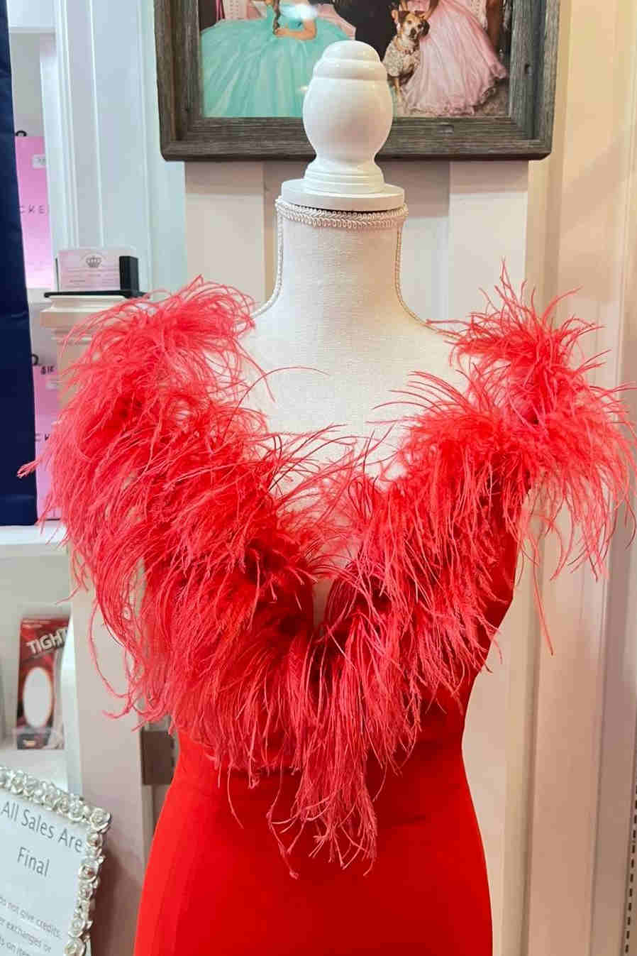 Red Feather Dress