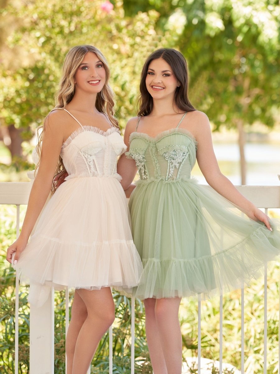 Rosa | Spaghetti Straps Tulle Lace Appliques Short Prom Dresses With Bow - KissProm