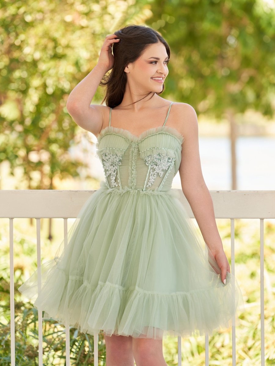 Rosa | Spaghetti Straps Tulle Lace Appliques Short Prom Dresses With Bow - KissProm